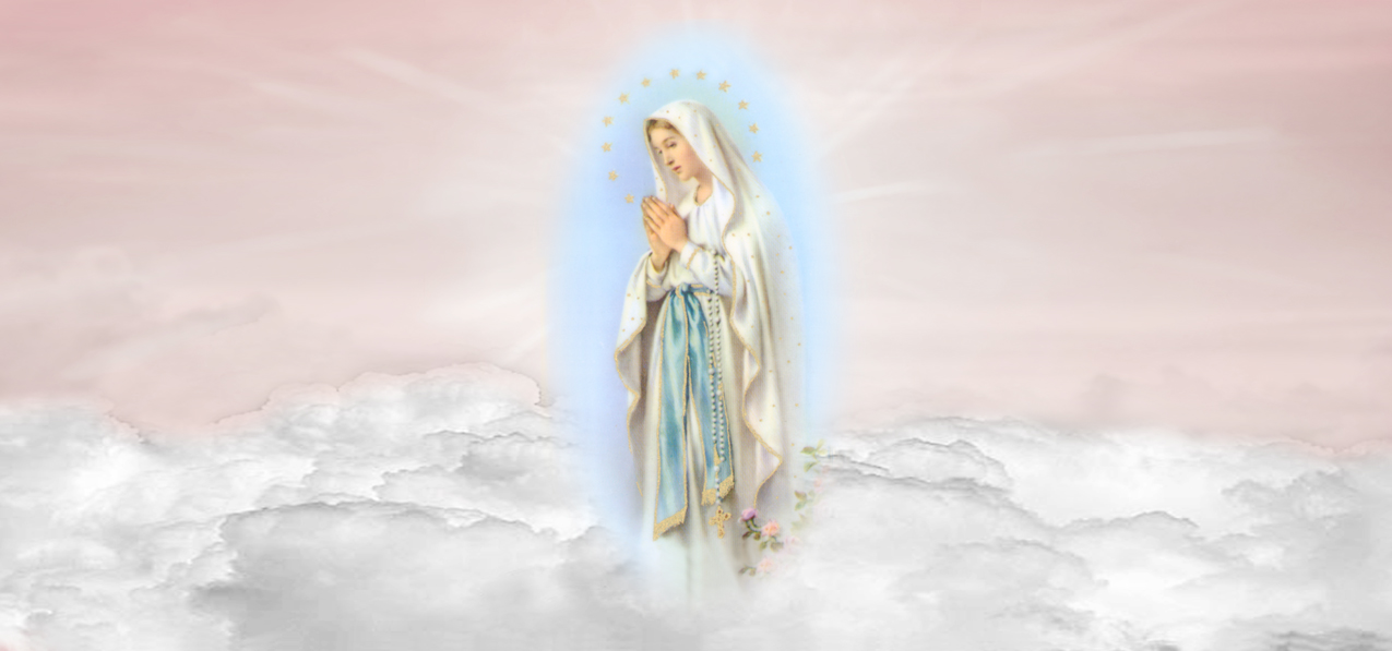 Lady of the Flowering Thorn Clouds Pink